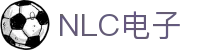 NLC电子数码集团